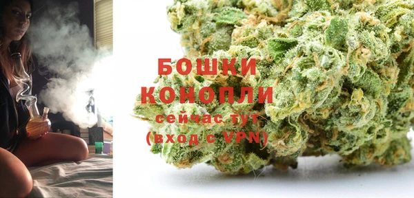 спайс Бородино