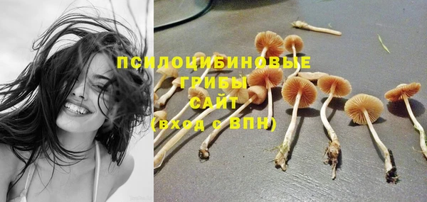 спайс Бородино