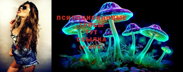спайс Бородино
